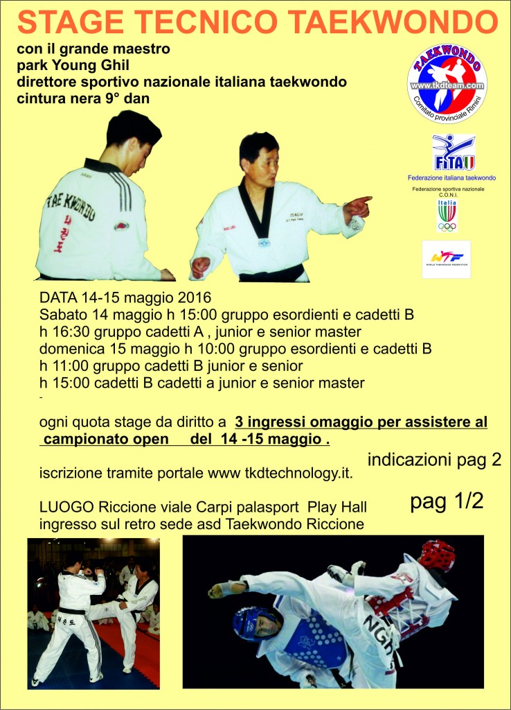 Stage Tecnico Tattico Taekwondo Riccione Cattolica Rimini